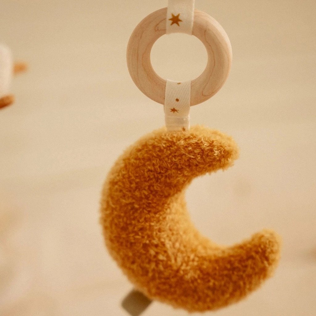 little_dutch_ginasio_atividades_newborn_naturals006