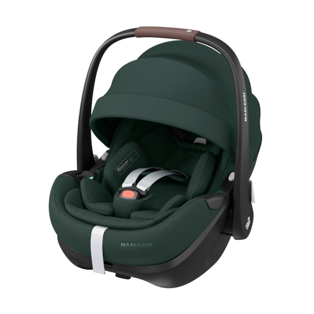 Maxi-Cosi Trio Carrinho Fame + Alcofa + Ovinho Pebble 360 Pro2 Twillic Green