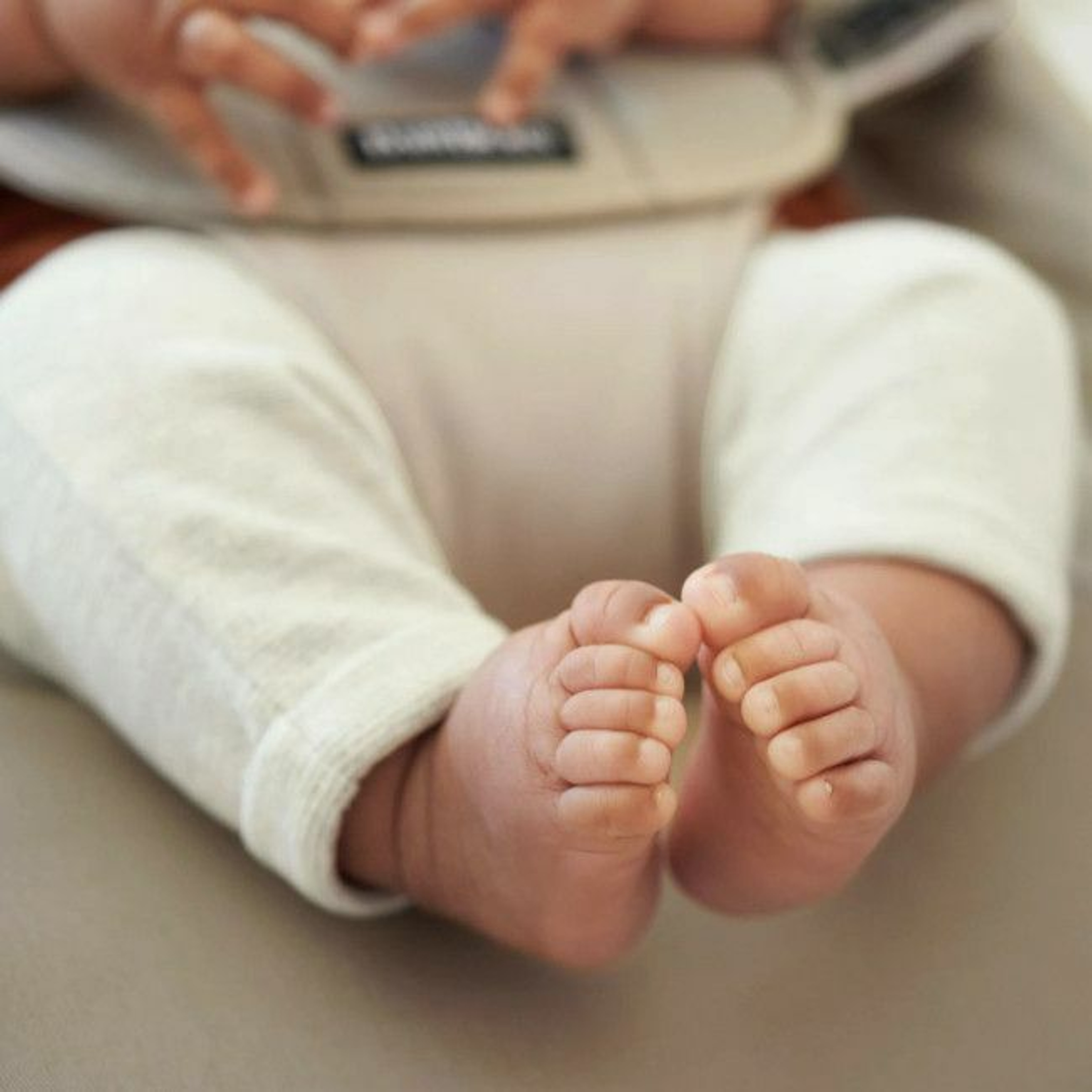 BabyBjörn Espreguiçadeira Balance Soft Algodão Caqui/Bege 005026