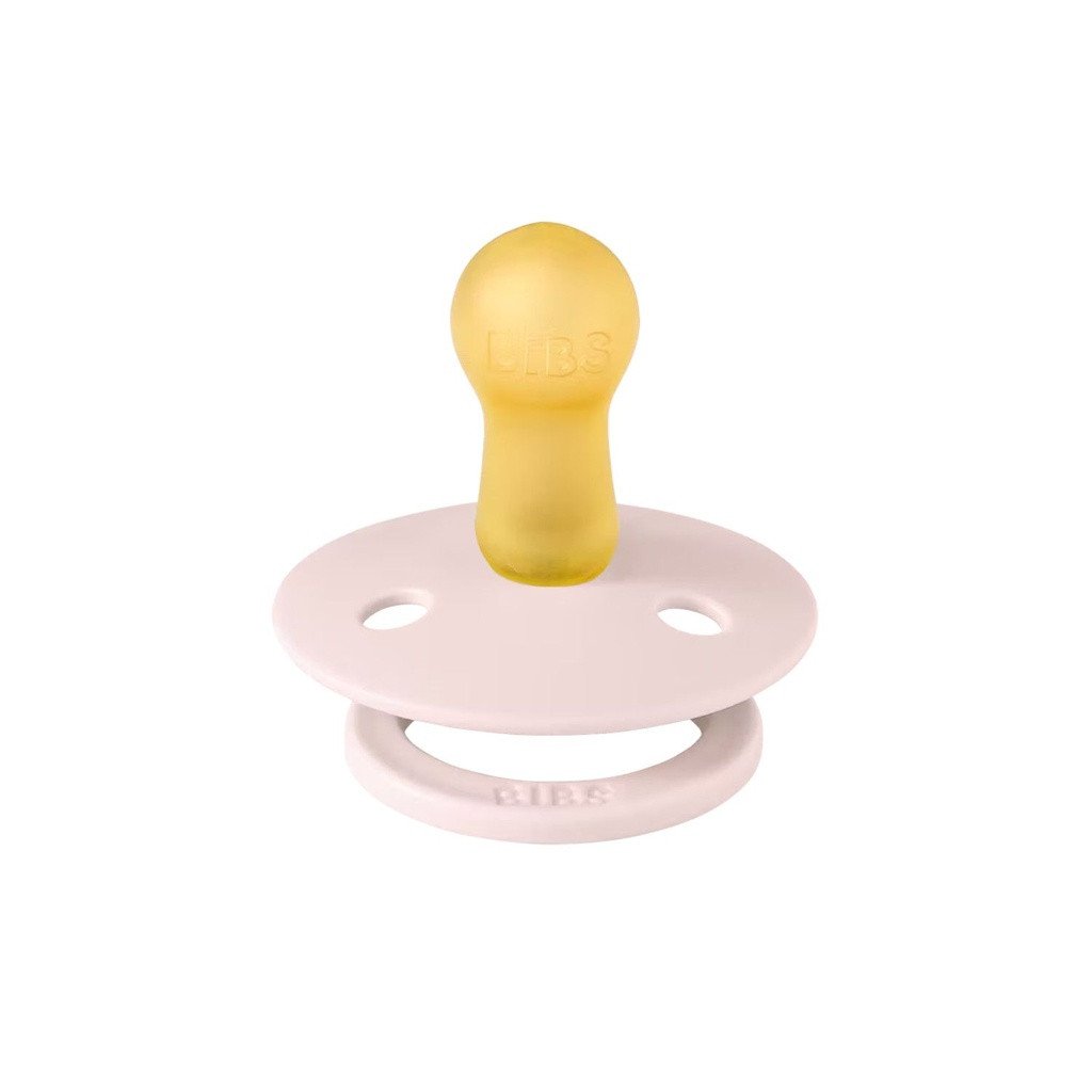 bibs_2_chupetas_colour_latex_redonda_petal_plum003