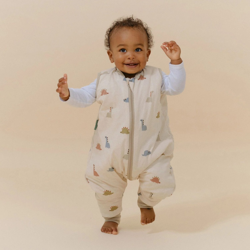 molis_co_fato_dormir_meias_dinos007