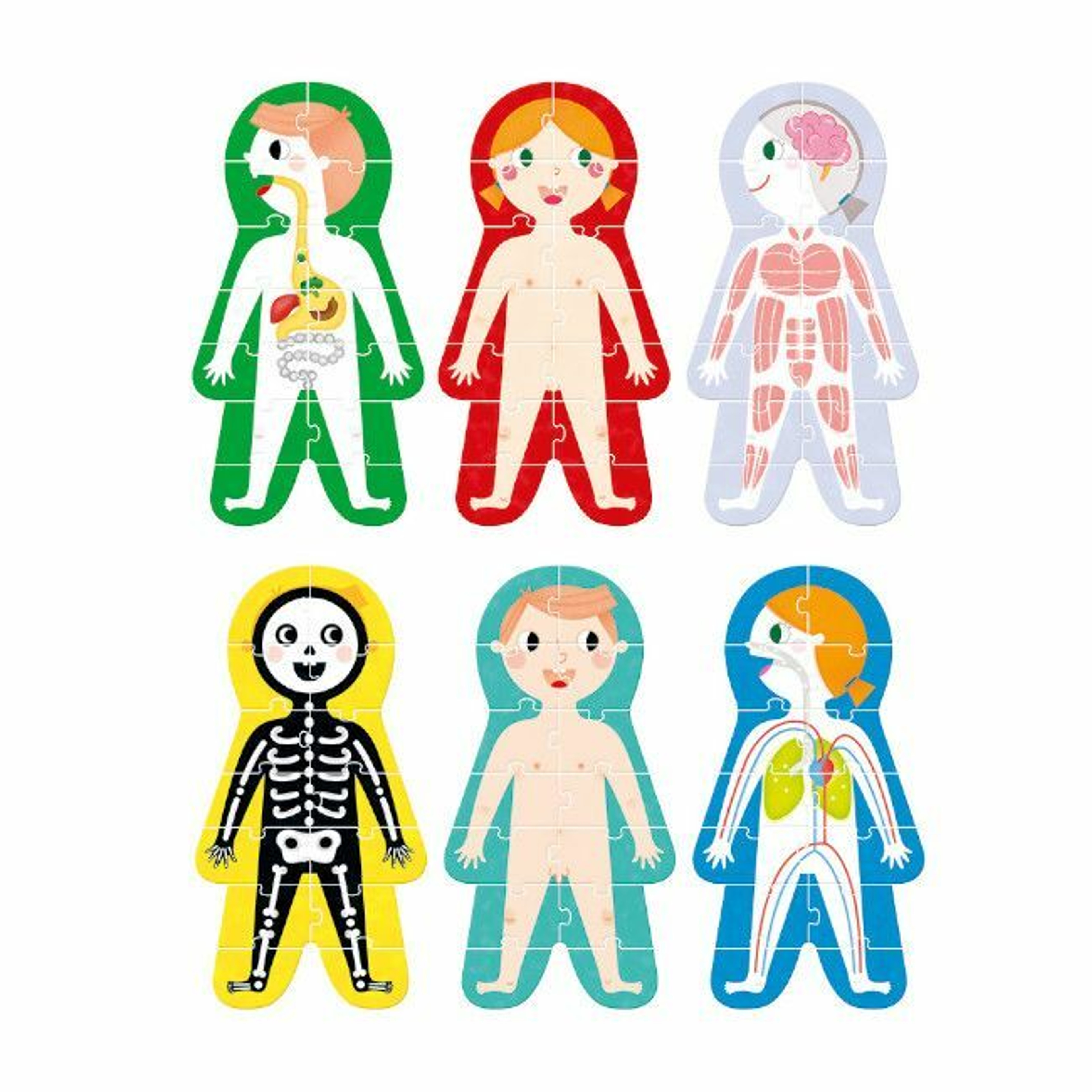 Banana Panda 6 Puzzles My Body 47x25 +3Y 49026