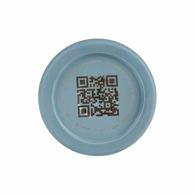 Citron Garrafa Isotérmica 250ml Spaceship Dusty 4419616