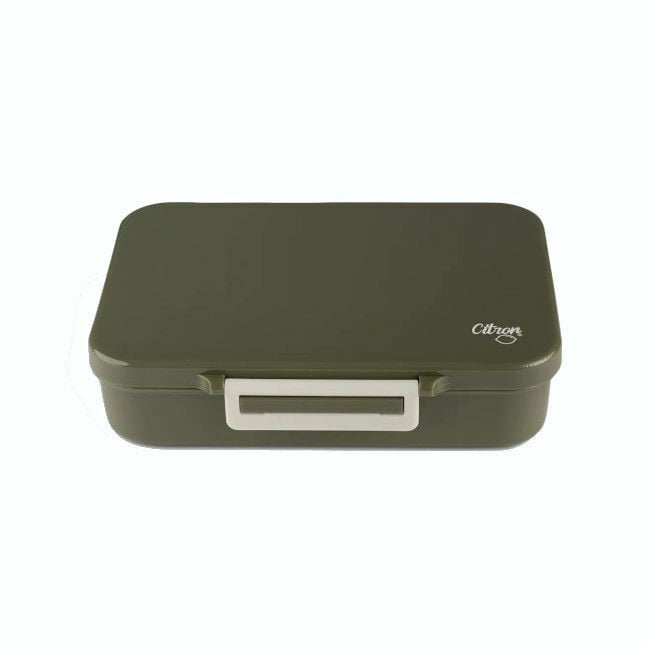 Citron Medium Lunchbox with Dividers Green 4419627