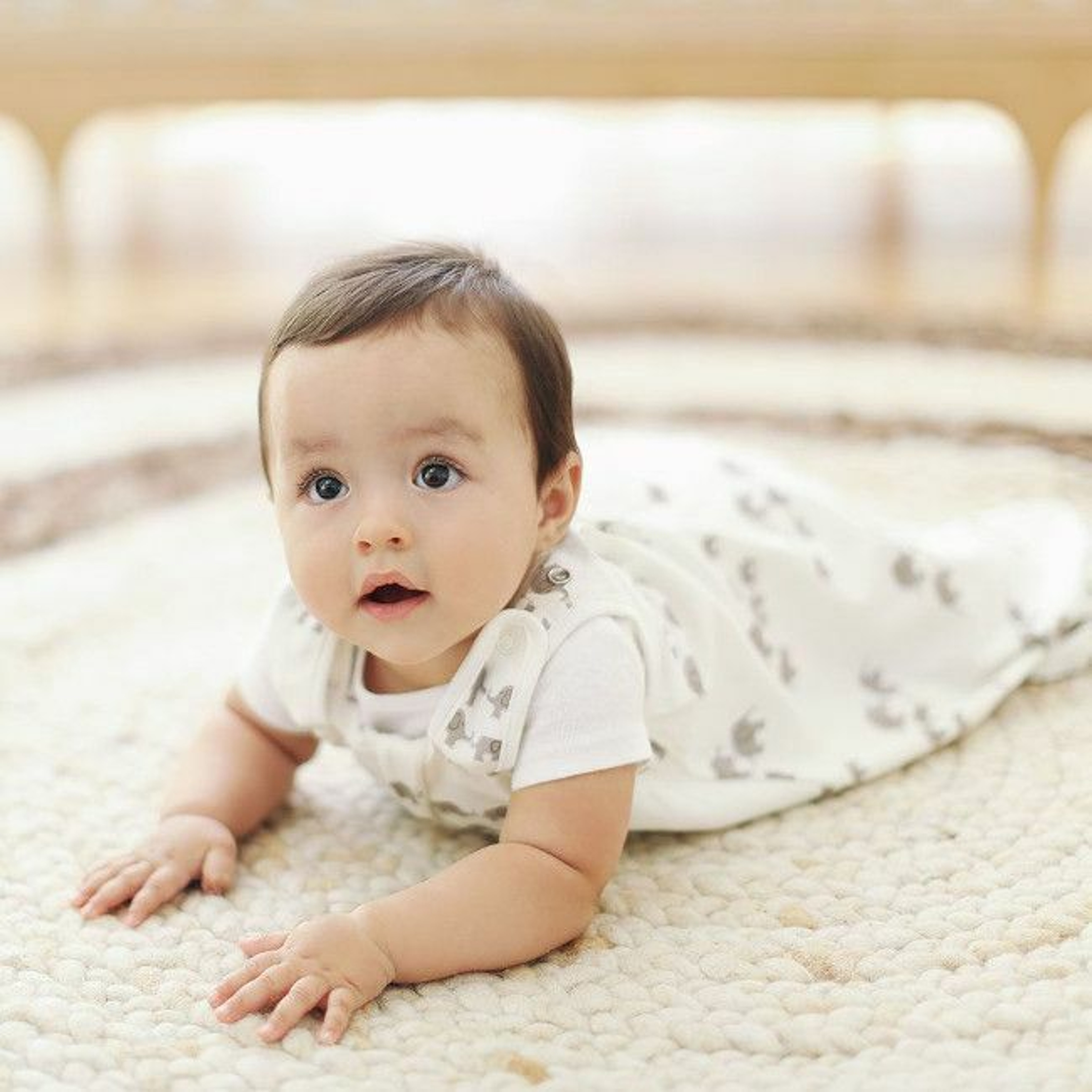 Ergobaby Saco de Dormir 0-6M TOG 2.5 Elephant EBSLBSMELEPH25