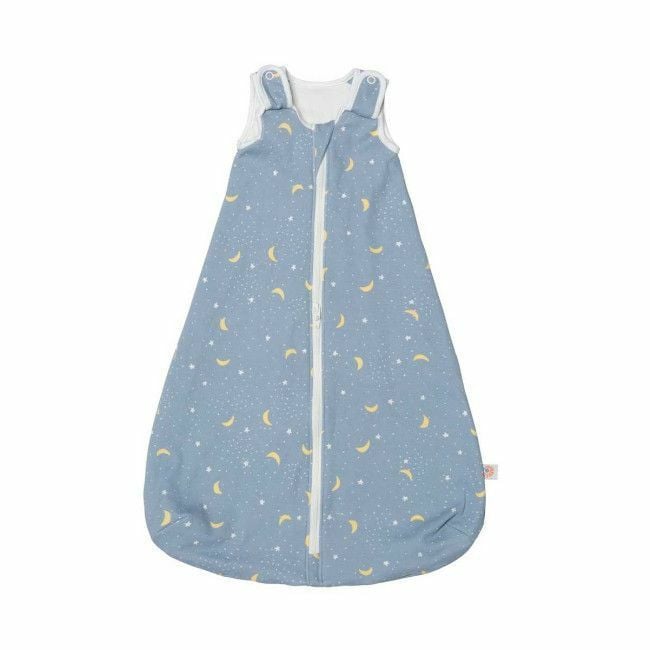 Ergobaby Saco de Dormir On the Move 18-36M TOG 2.5 Stellar