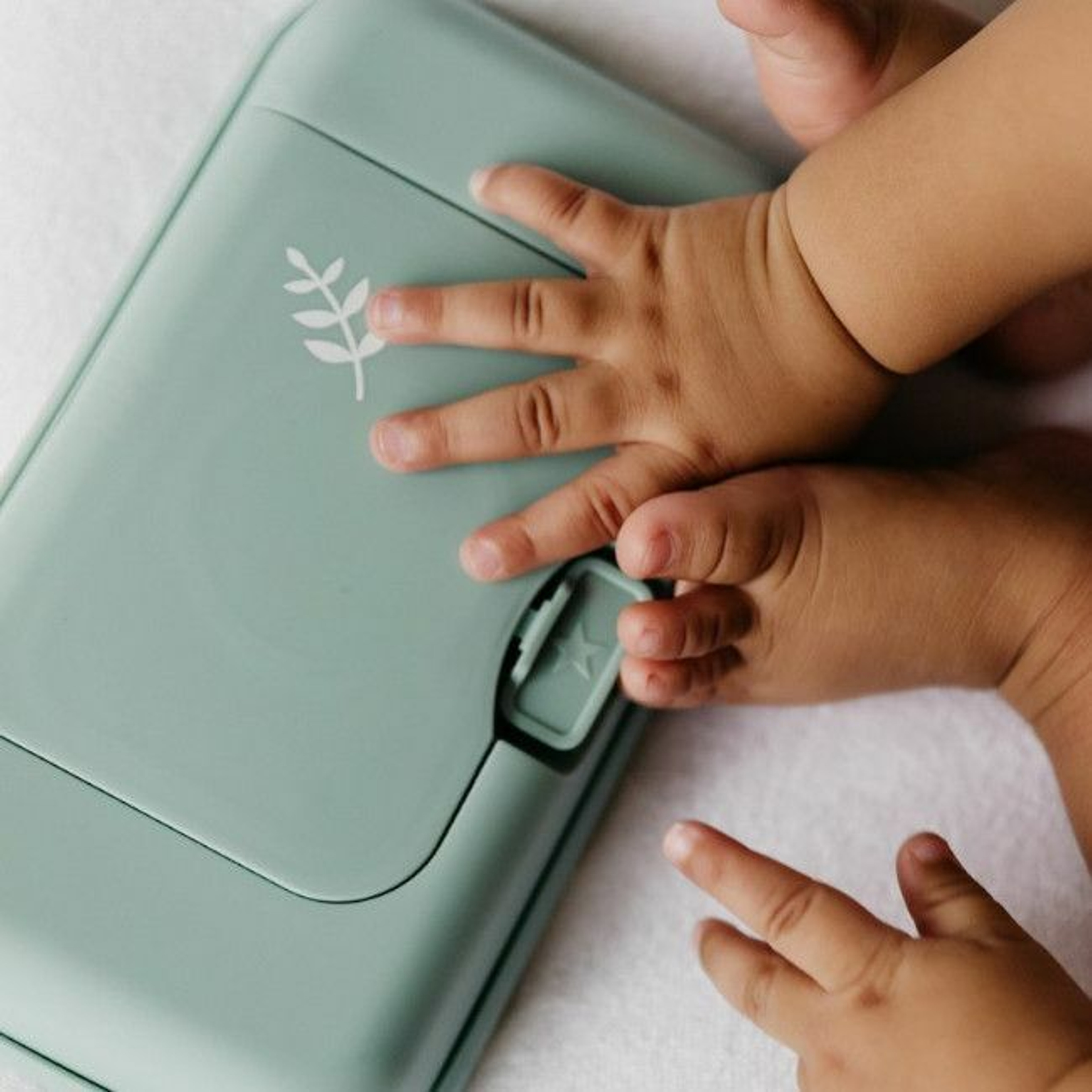 FunkyBox Caixa Toalhetes Menta Folha FB60