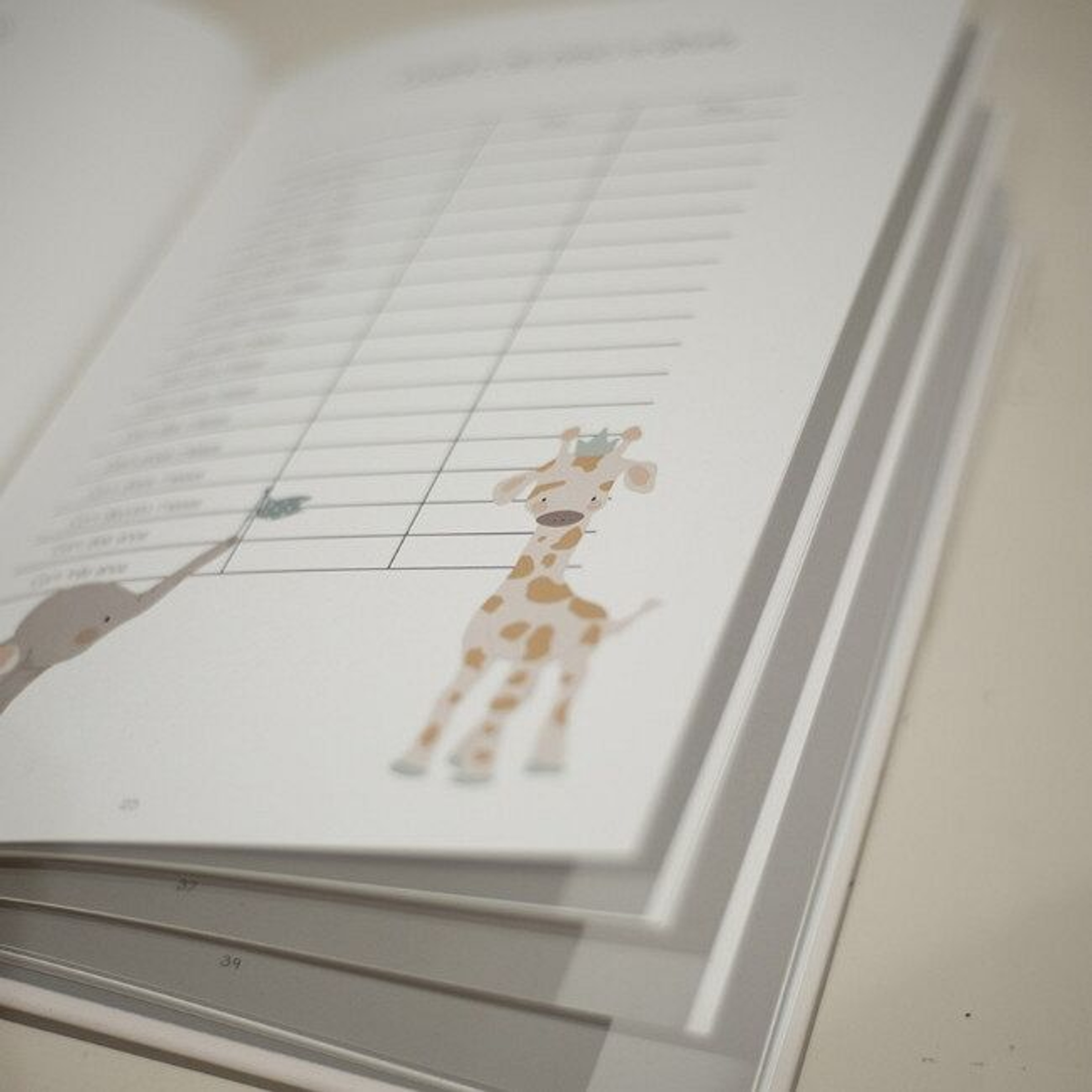 Laranjinha Livro Do Bebé Lb001