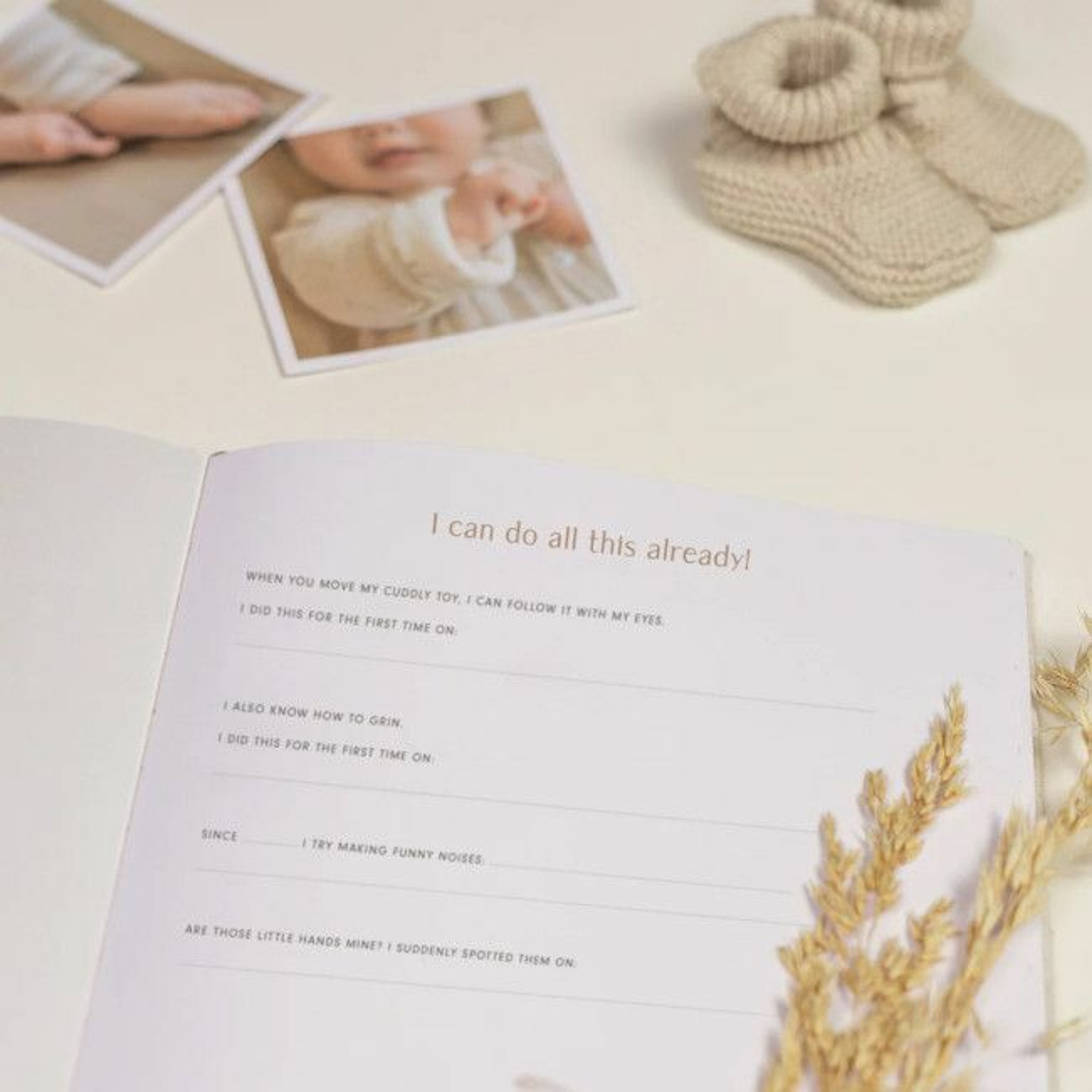 Little Dutch Livro do Bebé "My First Year" Baby Bunny LD4740