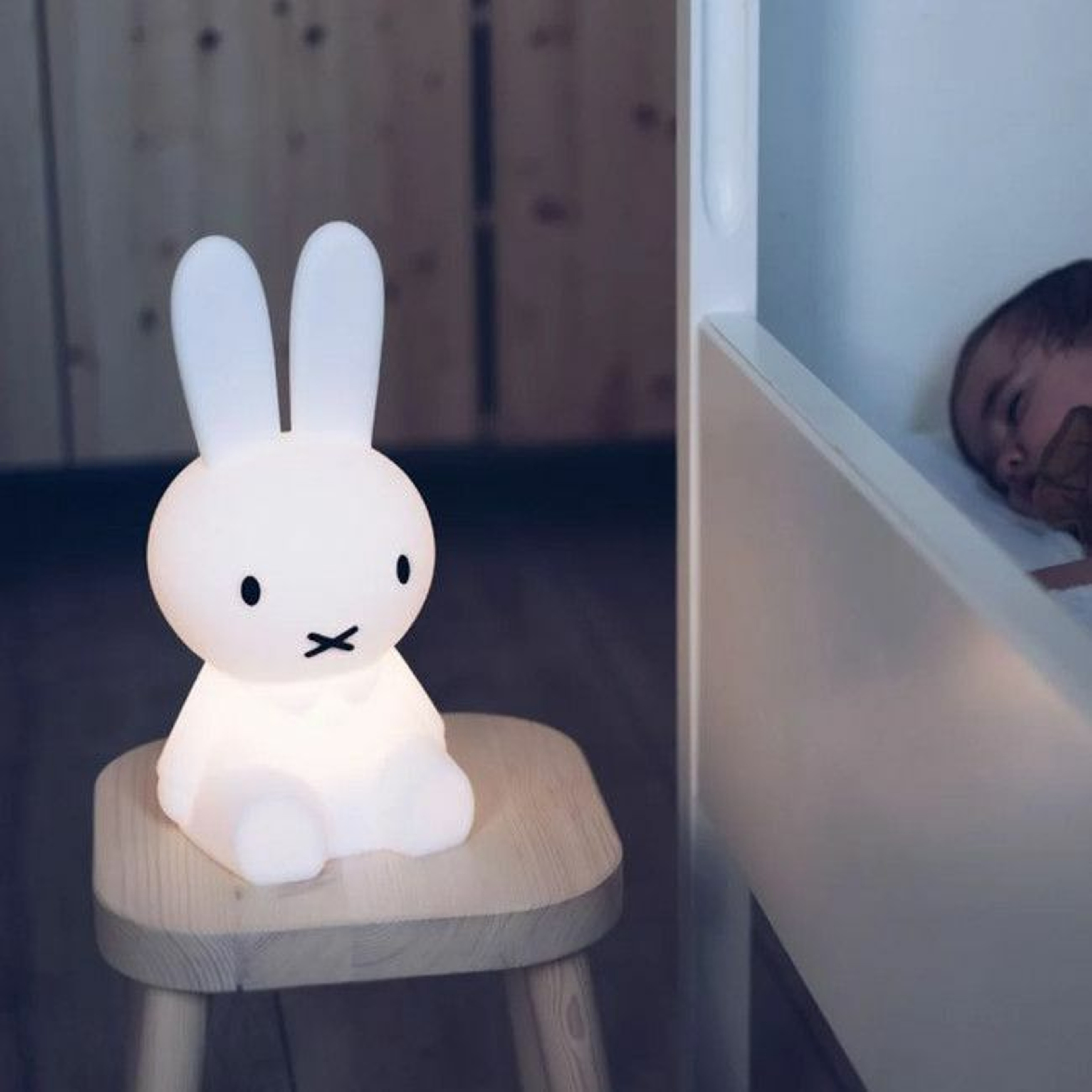 Mr. Maria Candeeiro A Minha Primeira Luz Miffy