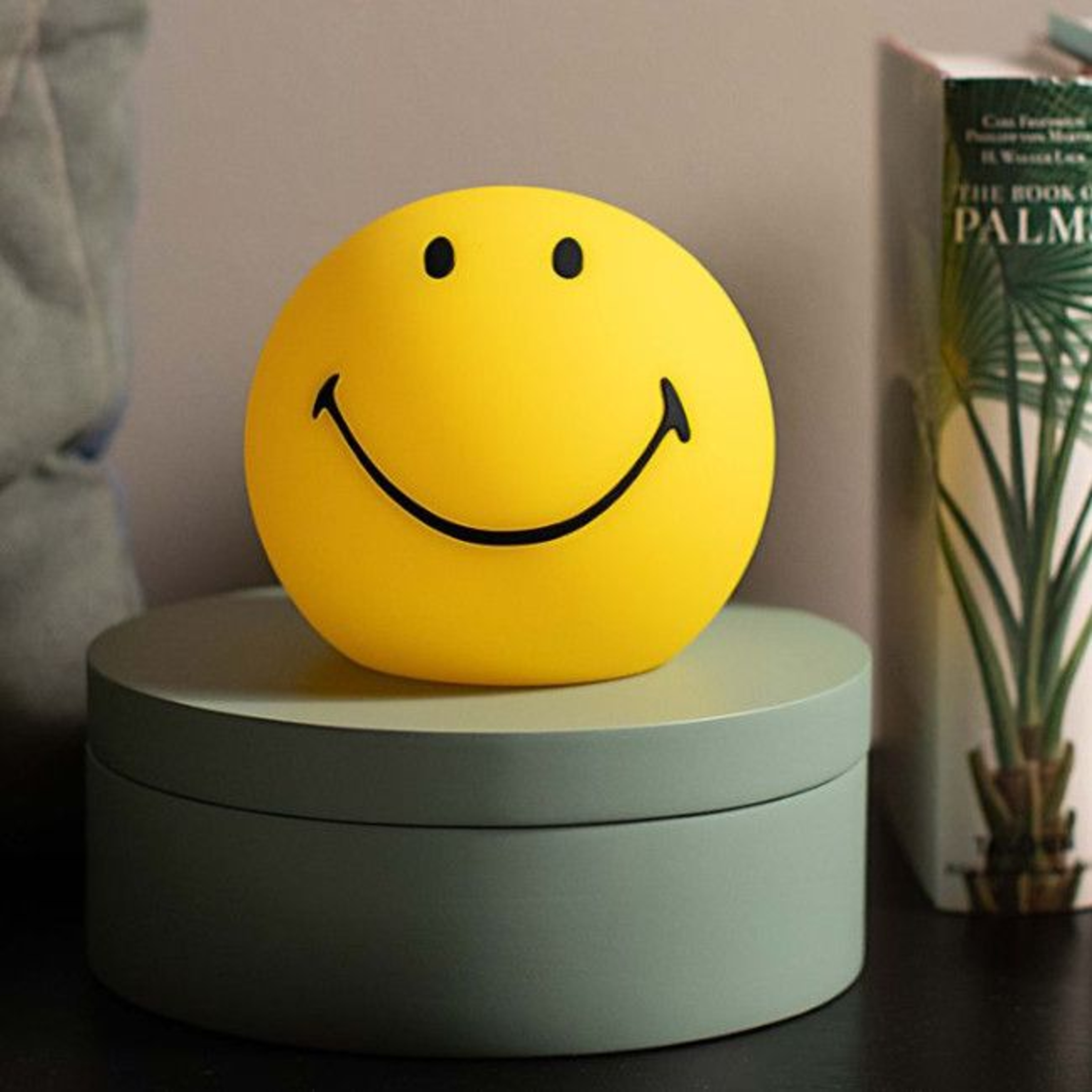 mr_maria_luz_bundle_light_smiley004