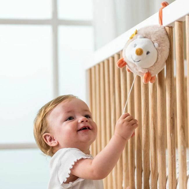 Nattou Peluche Musical Ouriço Zoe 20cm +0M 11266086