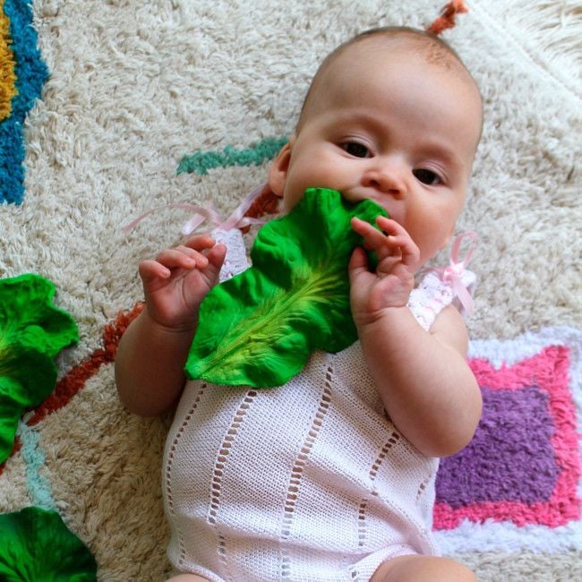 oli_carol_mordedor_couve_kendall004