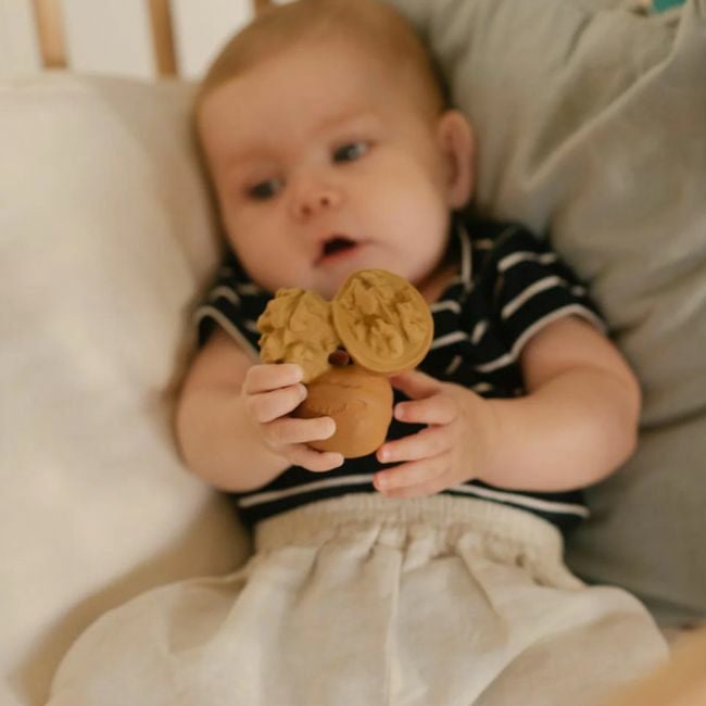 Oli&Carol Mordedor Noz Nutty L-WALNUT-UNIT