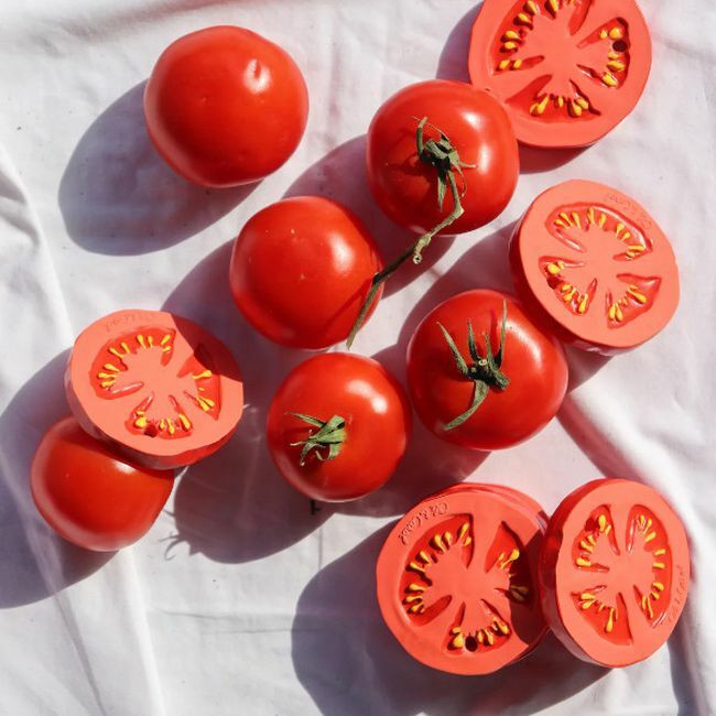Oli&Carol Mordedor Tomate Renato L-TOMATO-UNIT