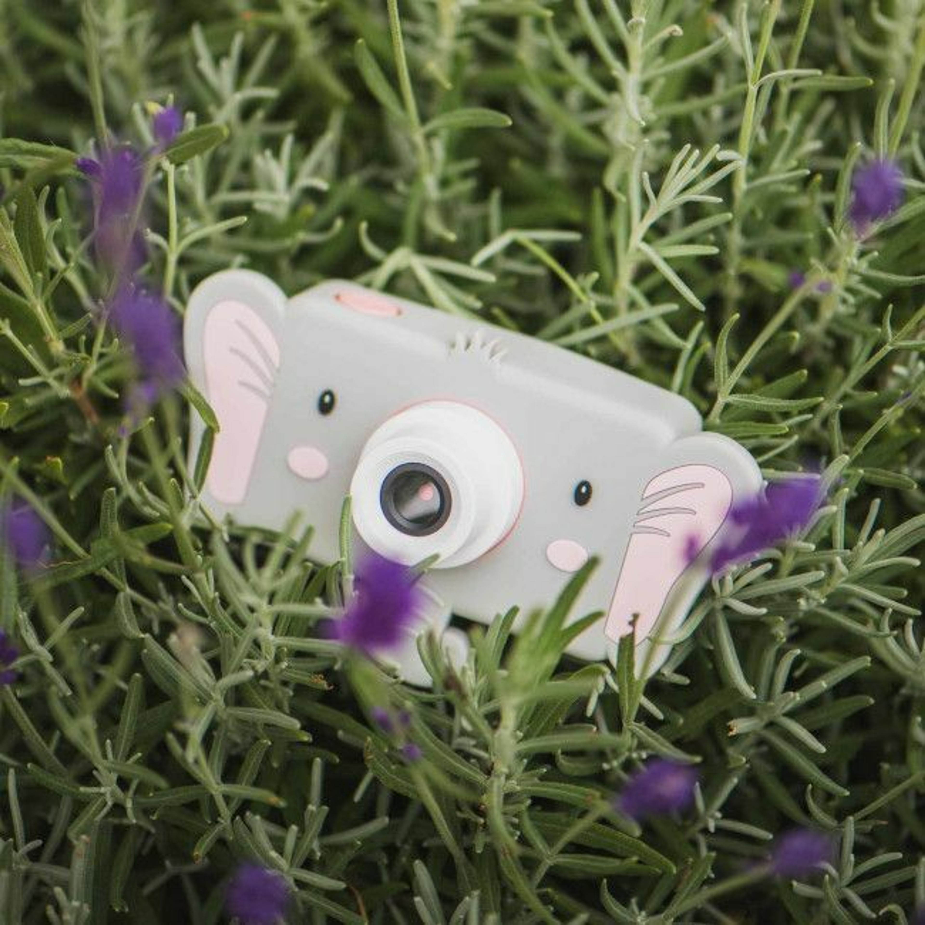 The Zoo Family Máquina Fotográfica Zoo Friends Elefante +3 Anos