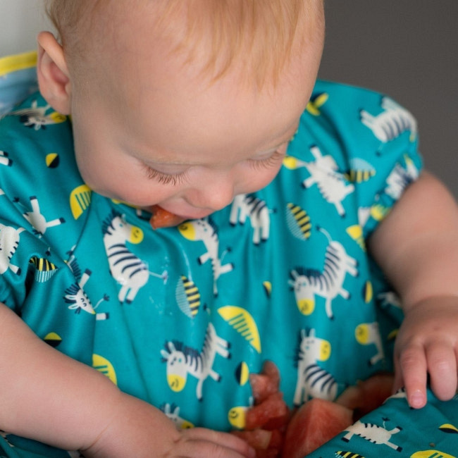 tidy_tot_kit_babete_cover_catch_manga_curta_dancing_zebras004