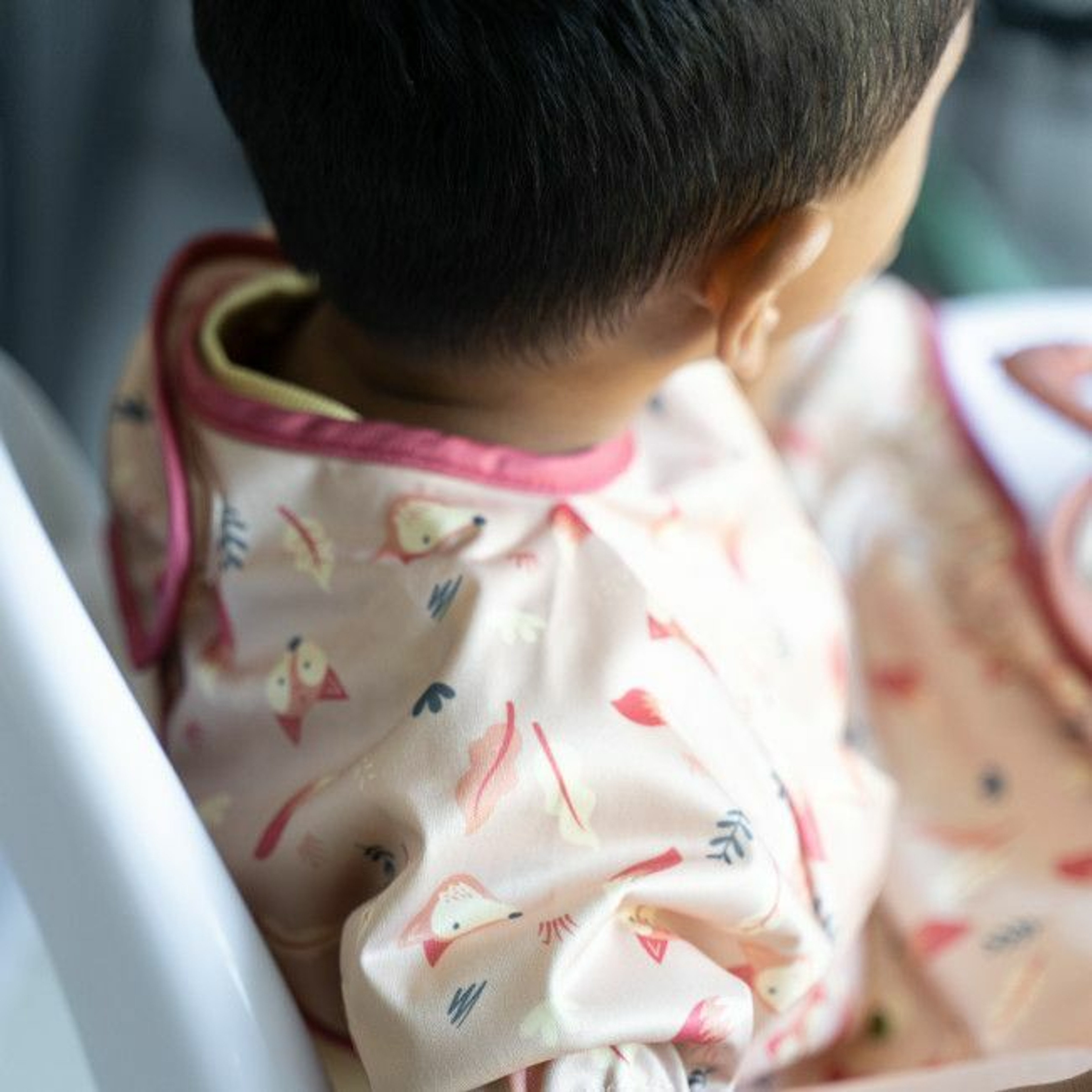 Tidy Tot Kit Babete Cover & Catch Mangas Curtas Raposas SSCCFX