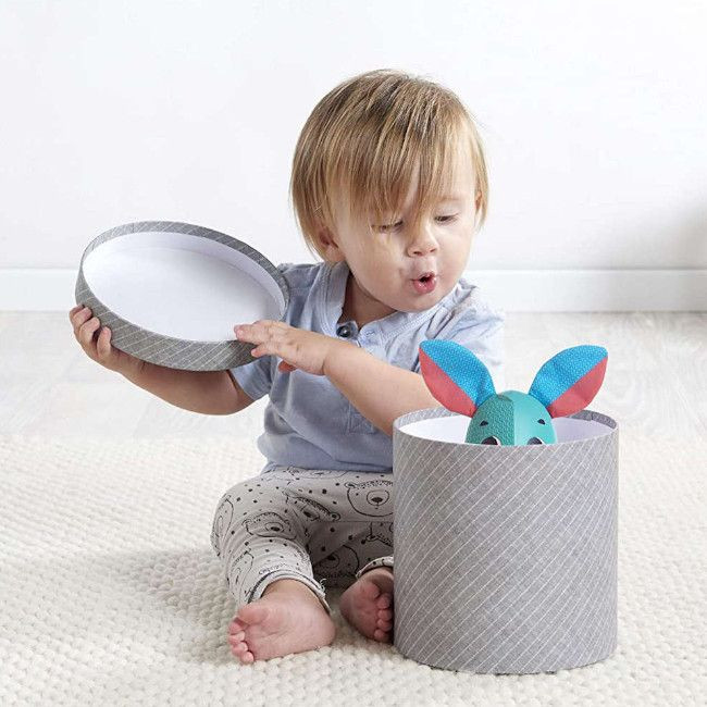 tiny_love_wonder_buddies_thomas001