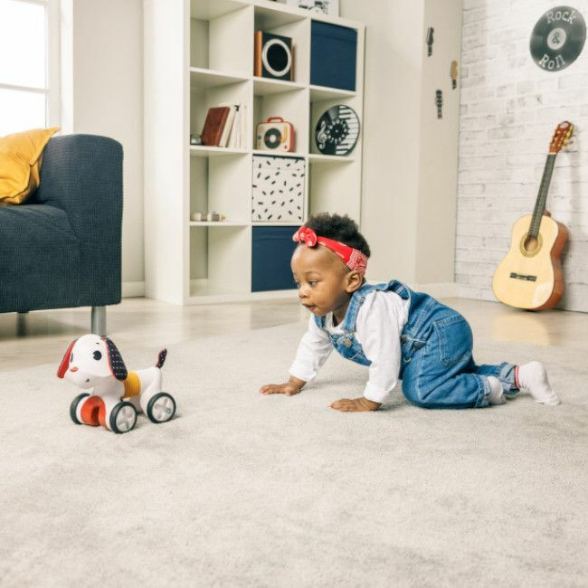 Tiny Love Charlie o Cão com Rodas Tiny Rockers +3M