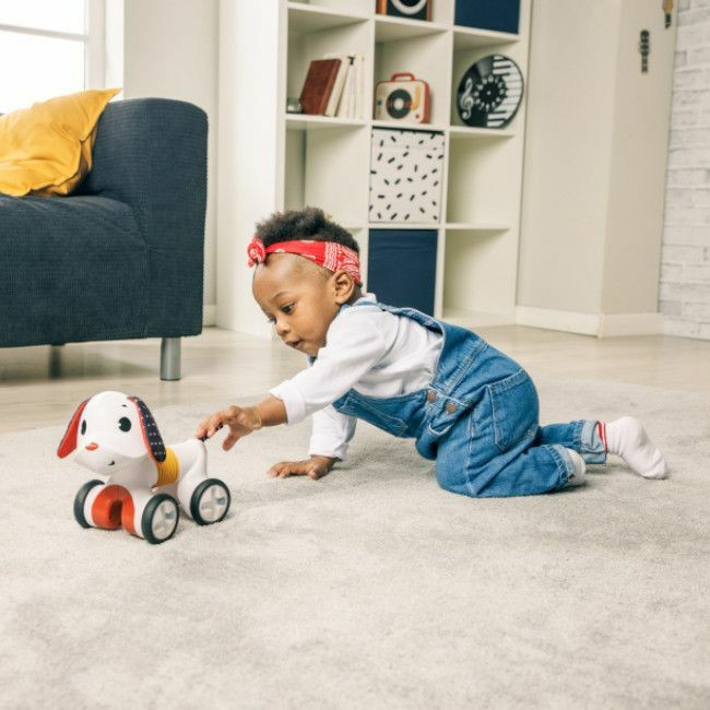 Tiny Love Charlie o Cão com Rodas Tiny Rockers +3M
