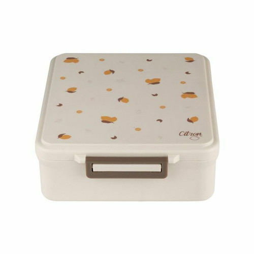Citron Large Insulated Lunchbox with Dividers Lemon 4419646