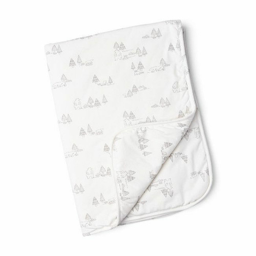 Doomoo Dream Organic Cotton Blanket Bear Family Grey 75x100 5DS05