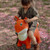 find_that_hippo_raposa_saltitona003