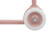 banwood_eco_trotinete_dusty_rose004