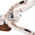 little_dutch_triciclo_off_white005