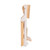 chicco_cadeira_papa_meraviglia_fossil008