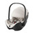 britax_romer_duo_carrinho_rio_babysafe_pro_lux_soft_taupe003