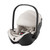 britax_romer_carrinho_alcofa_rio_babysafe_pro_lux_soft_taupe003