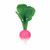 Oli&Carol Ramona Radish Teether L-R RADISH-UNIT