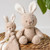 Nattou Peluche Coelhinho Teddy Beige +0M 11856331