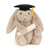 Jellycat Peluche Coelhinho Tímido Graduação 31cm +0M BAS3GRAD