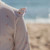 little_dutch_fato_banho_dreamy_stripes007