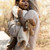 little_dutch_doudou_macio_leao_safari_friends002