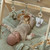 little_dutch_ginasio_atividades_safari_friends002