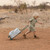 little_dutch_trolley_viagem_safari_friends002