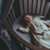 stokke_lencol_ajustavel_sleepi_mini_v3_lavender001