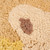 little_dutch_tapete_leao_110cm003