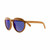 Chicco Sunglasses Brown +5 Years 00010785100000