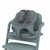 Cybex Arnês para Cadeira LEMO NG Light Grey