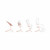 Cybex Conjunto LEMO NG 4 em 1 Pearl Pink