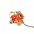 Janod Pull-Along Kitten with Beads and Arch +12M J08252