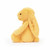 Jellycat Peluche Coelhinho Tímido Sunshine 31cm +0M BAS3BSU