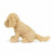 Jellycat Peluche Cão Golden Retriever Tilly 27cm +0M TIL3GR