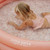 Little Dutch Piscina Insuflável 150cm Ocean Dreams Pink +2 Anos 2012391