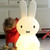 mr_maria_candeeiro_xl_miffy004